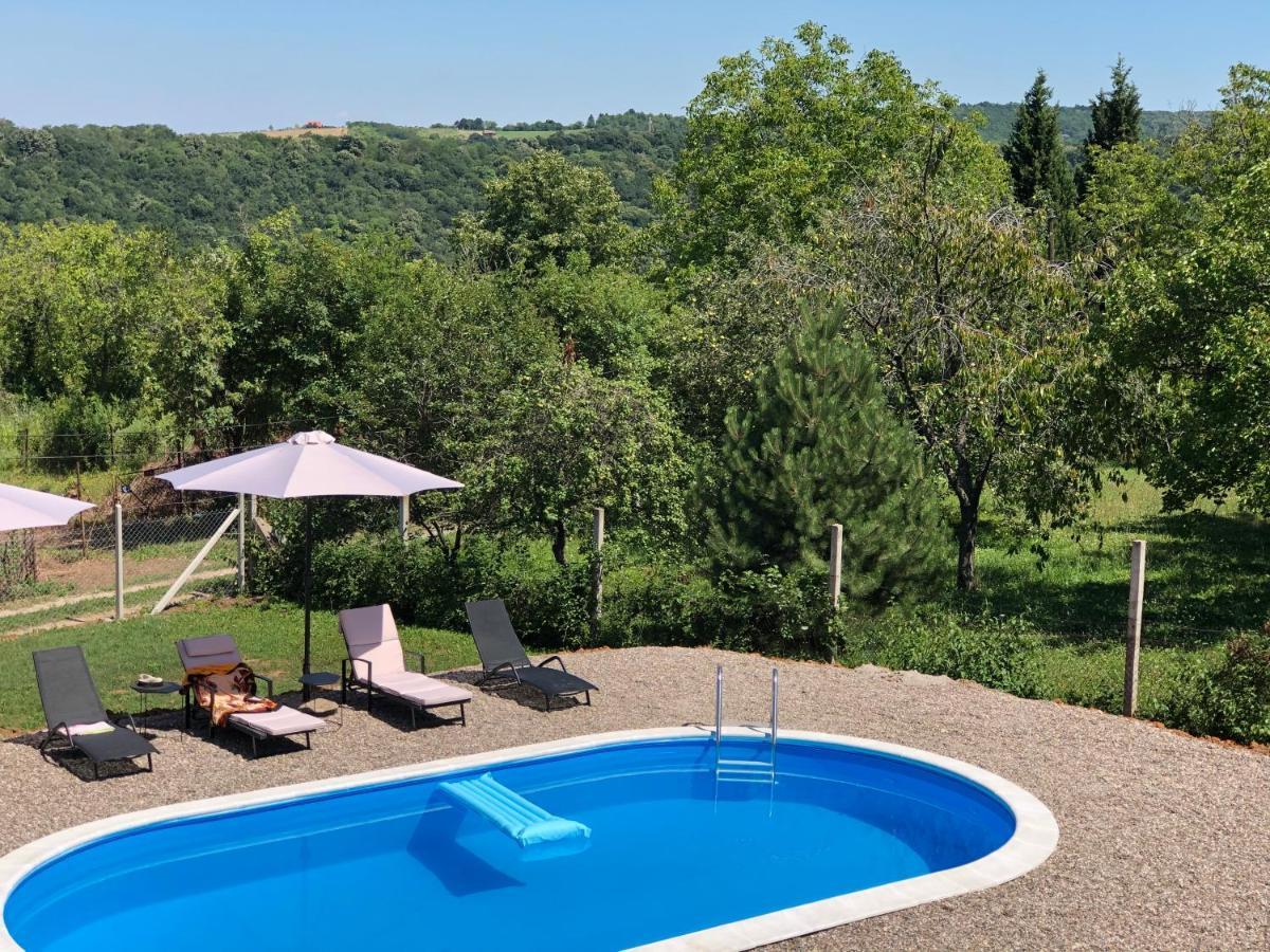 Fruska Pool House Villa Sremska Kamenica Eksteriør billede