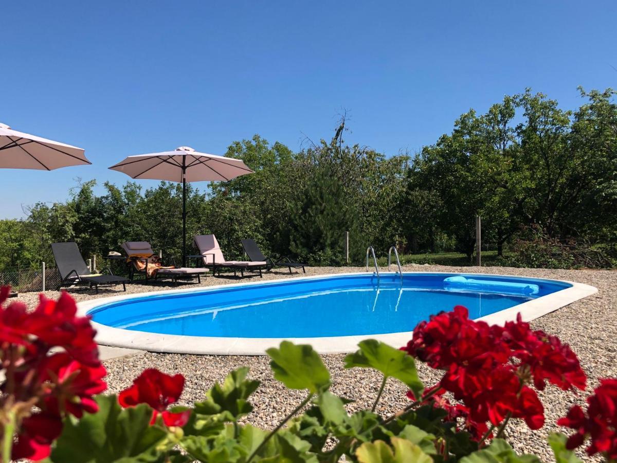 Fruska Pool House Villa Sremska Kamenica Eksteriør billede