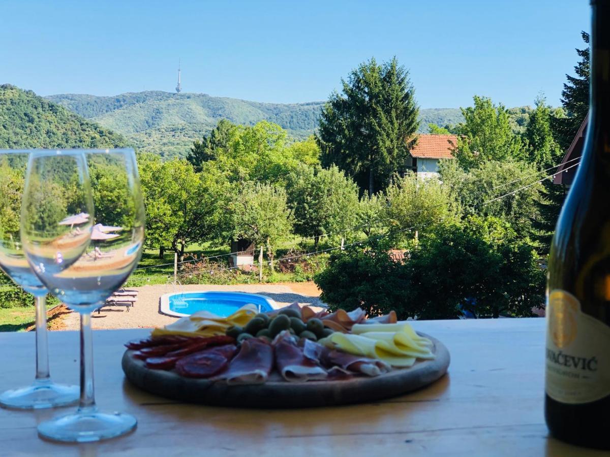 Fruska Pool House Villa Sremska Kamenica Eksteriør billede