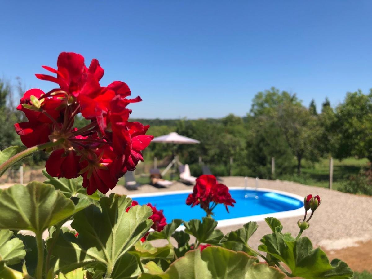 Fruska Pool House Villa Sremska Kamenica Eksteriør billede