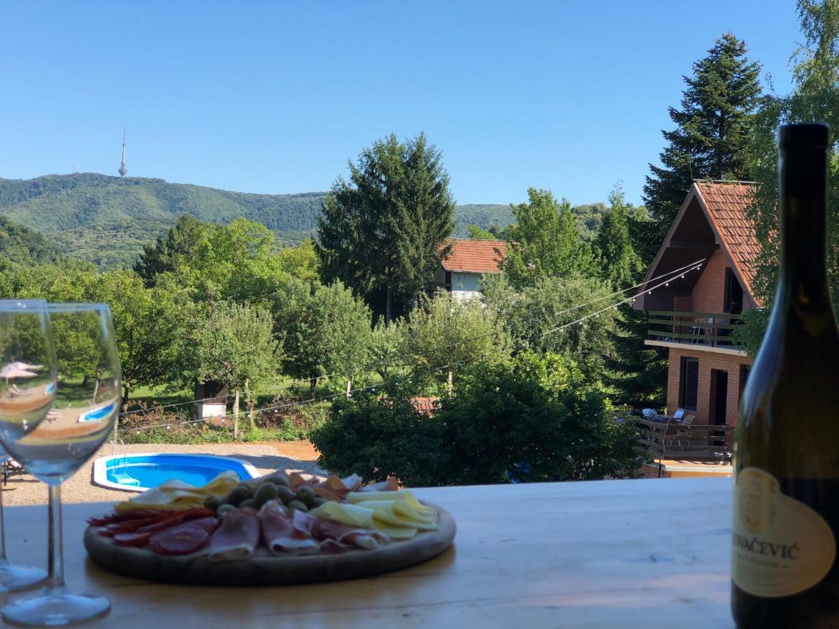 Fruska Pool House Villa Sremska Kamenica Eksteriør billede