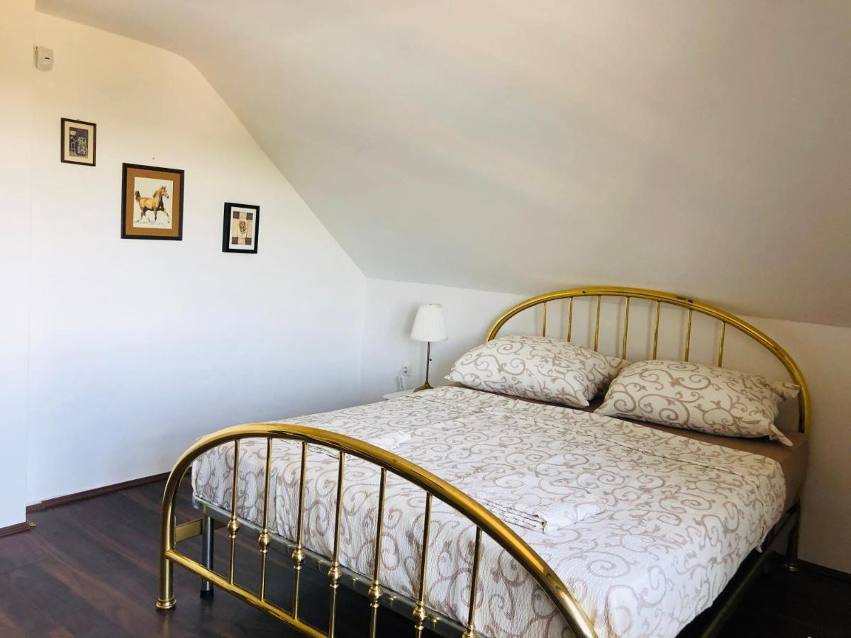 Fruska Pool House Villa Sremska Kamenica Eksteriør billede