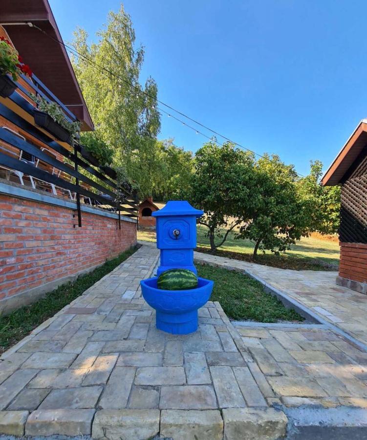 Fruska Pool House Villa Sremska Kamenica Eksteriør billede