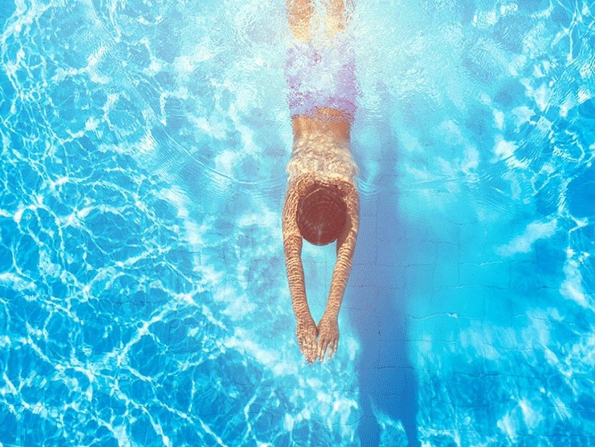 Fruska Pool House Villa Sremska Kamenica Eksteriør billede