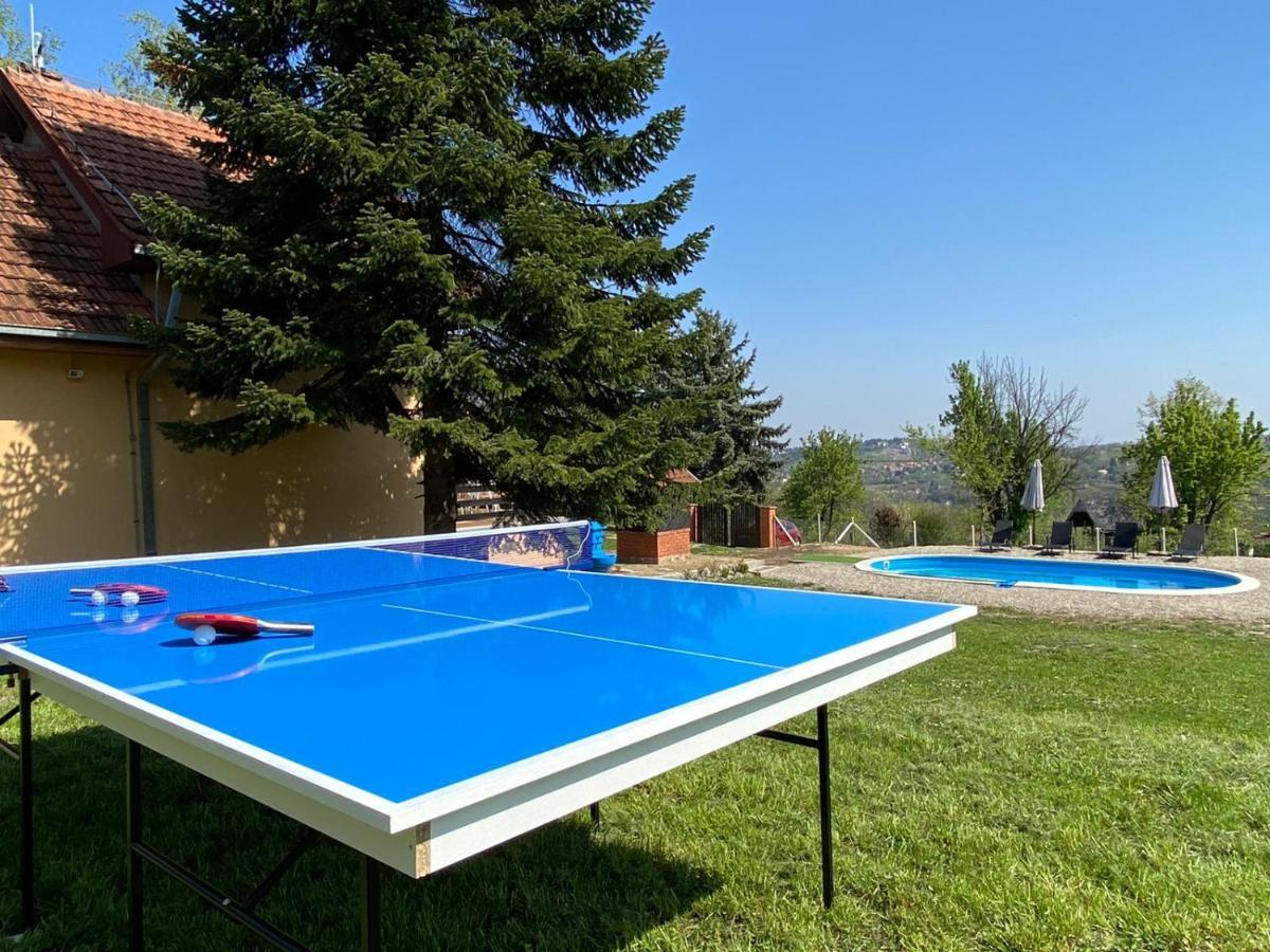 Fruska Pool House Villa Sremska Kamenica Eksteriør billede
