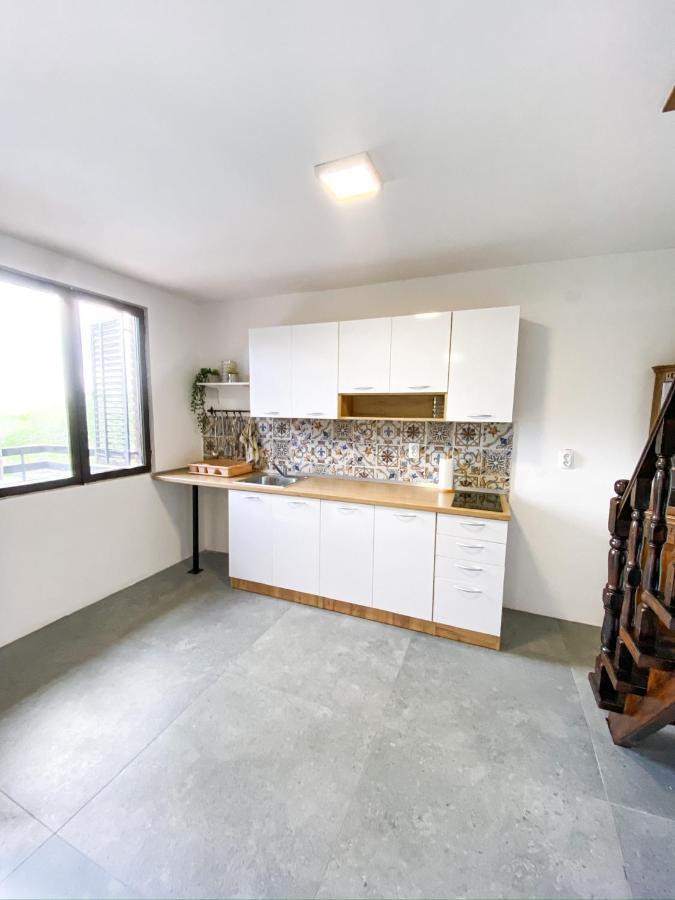 Fruska Pool House Villa Sremska Kamenica Eksteriør billede