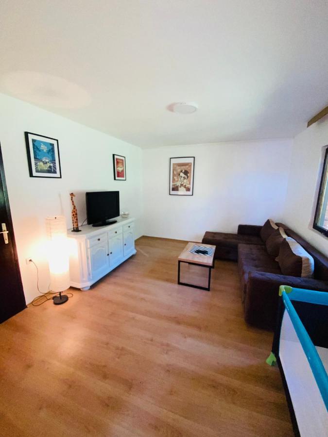Fruska Pool House Villa Sremska Kamenica Eksteriør billede