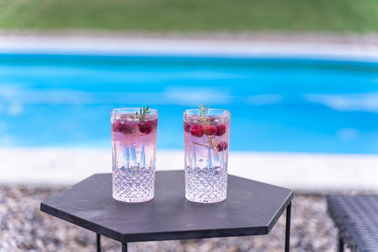 Fruska Pool House Villa Sremska Kamenica Eksteriør billede