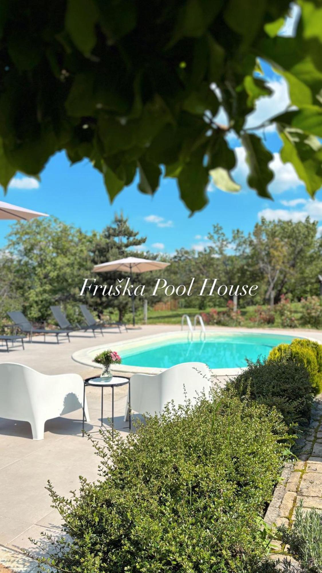 Fruska Pool House Villa Sremska Kamenica Eksteriør billede