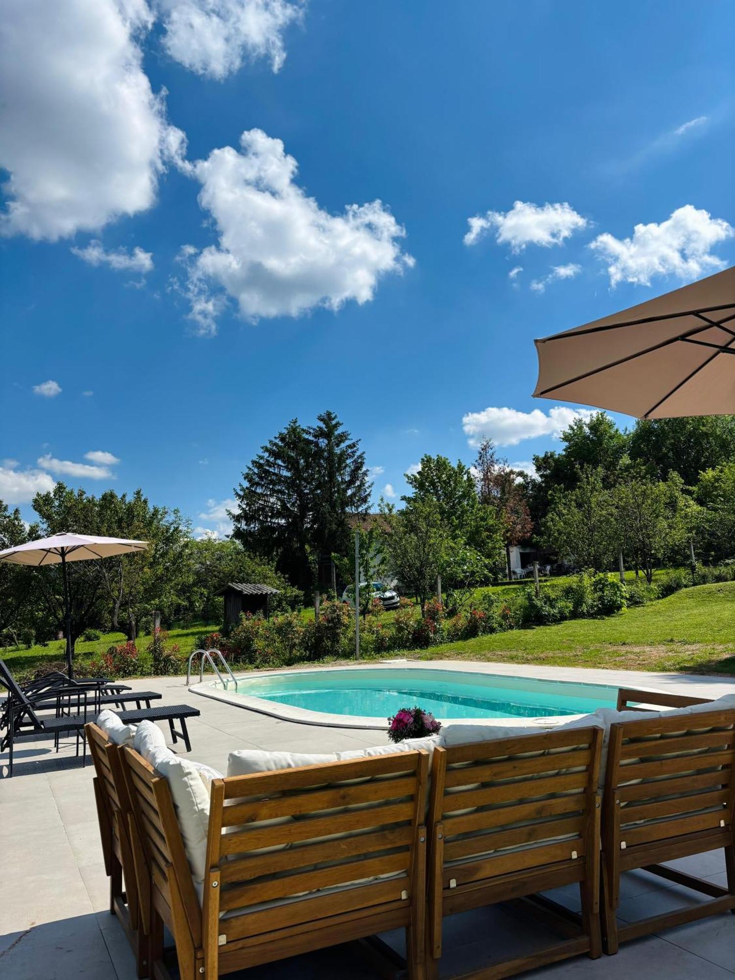 Fruska Pool House Villa Sremska Kamenica Eksteriør billede