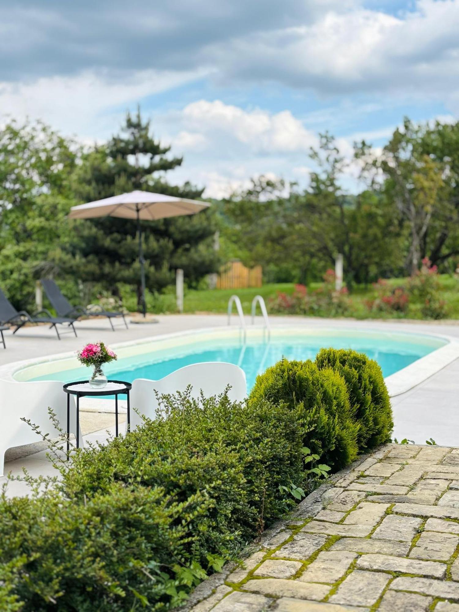 Fruska Pool House Villa Sremska Kamenica Eksteriør billede